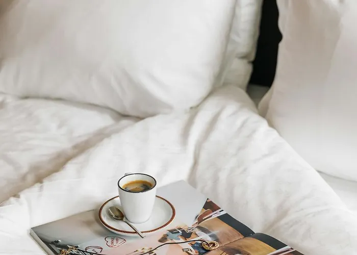 The Social Hub San Sebastián