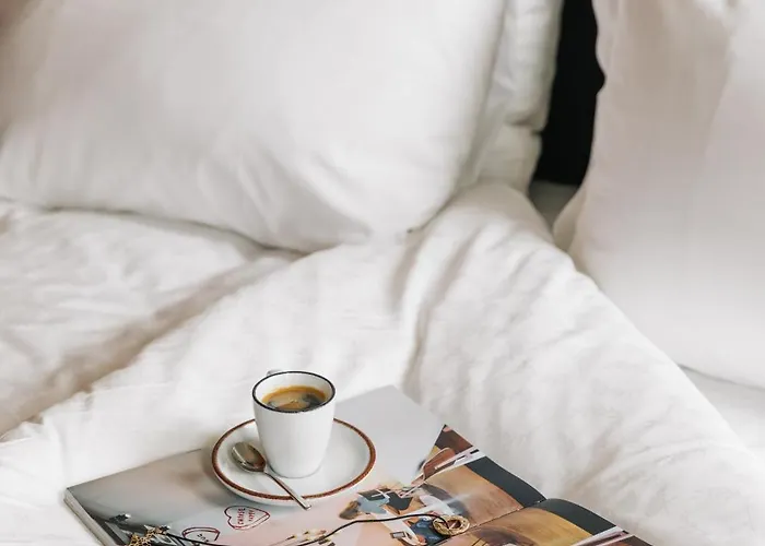 The Social Hub 3* San Sebastián